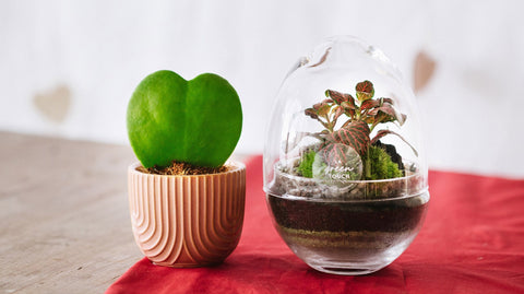 Idées cadeaux petits prix