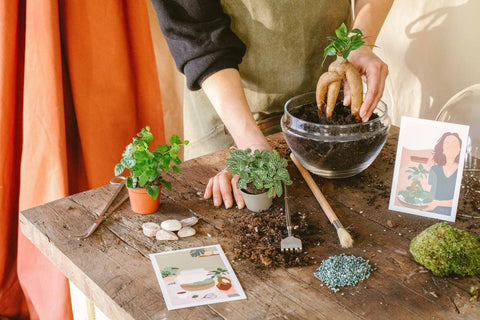 Kits à faire soi même