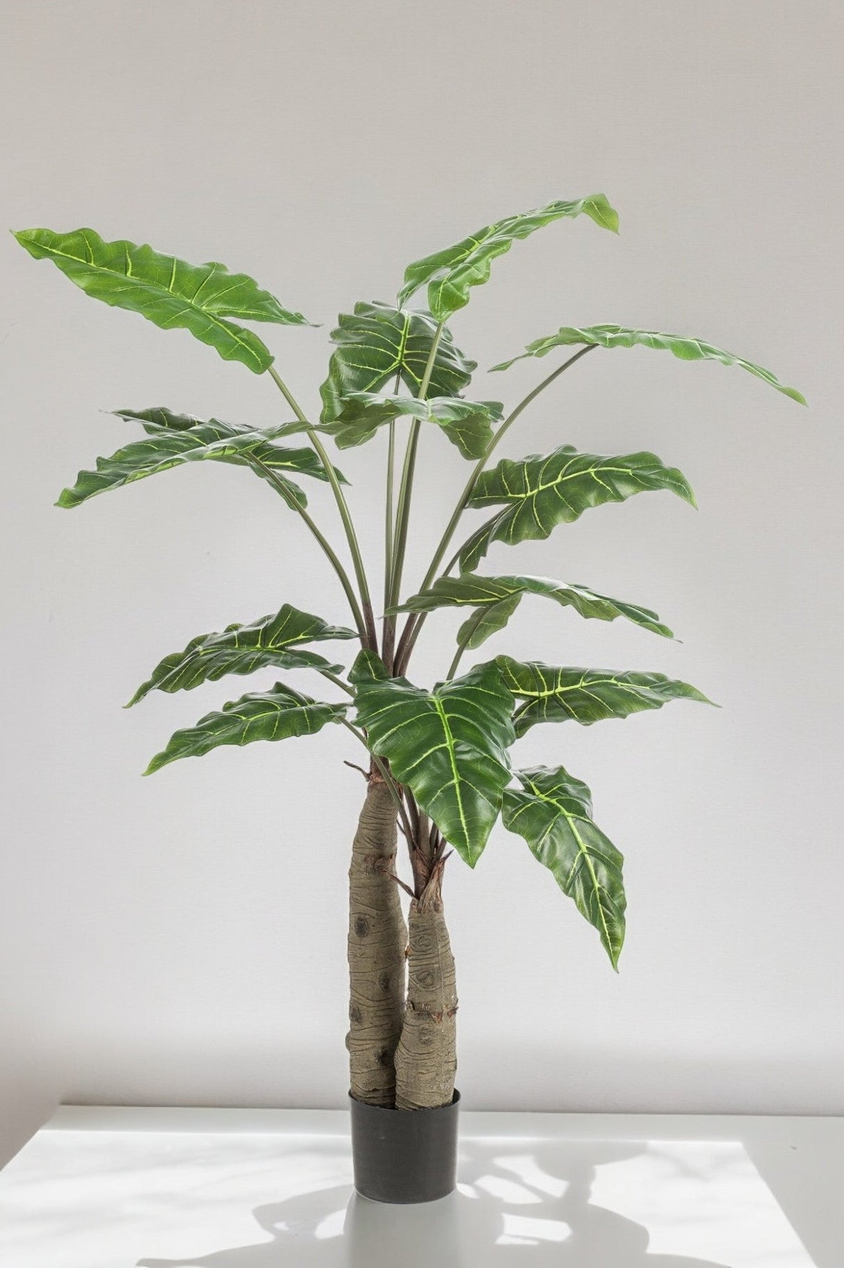 Livraison plante Alocasia plante artificielle - h150cm, Ø12cm