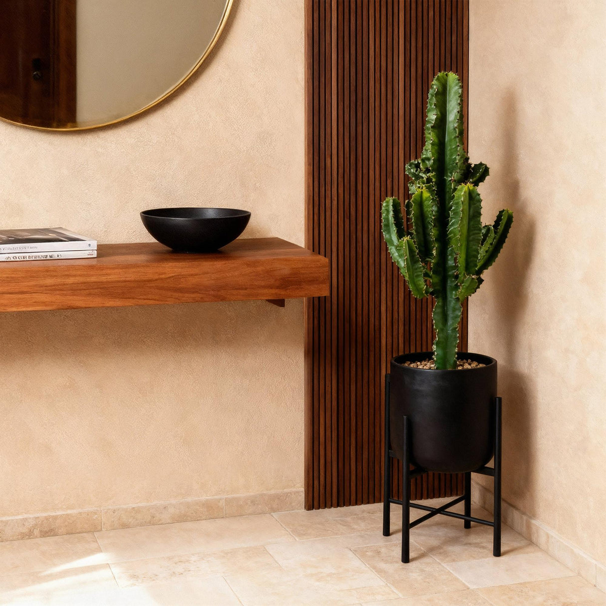 Livraison plante Euphorbe Eritrea