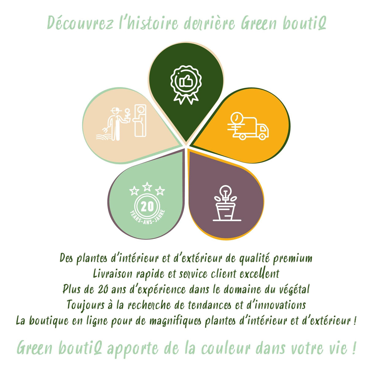 Livraison plante Palmier Kentia – Lot de 2 – Pot 21 cm – Hauteur 120 - 130 cm