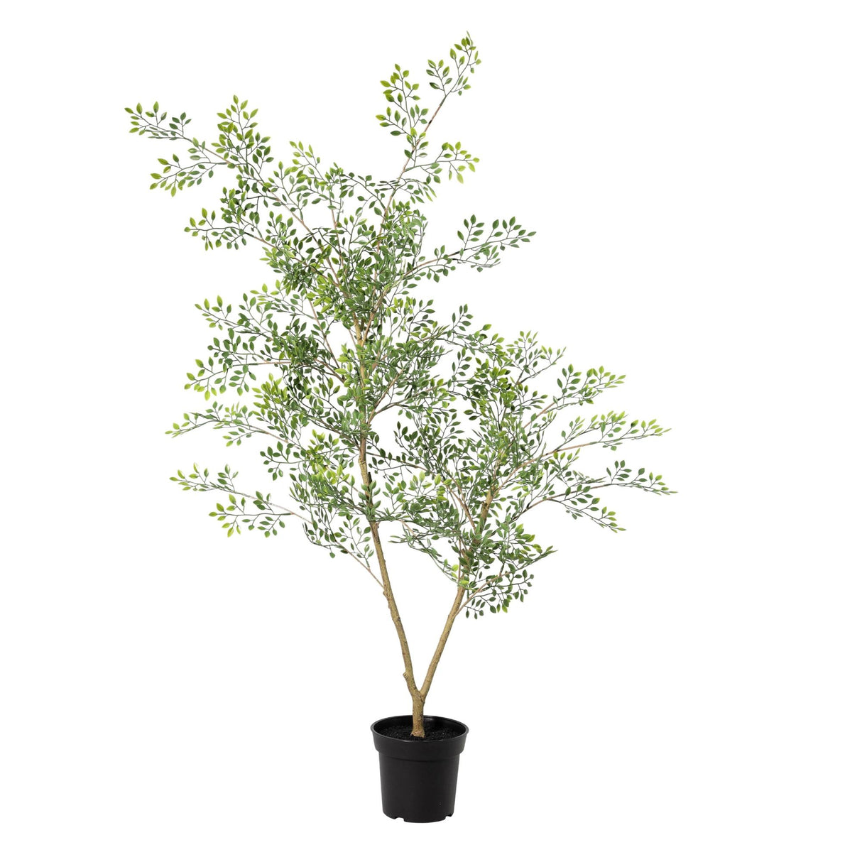Bucida artificiel h71cm