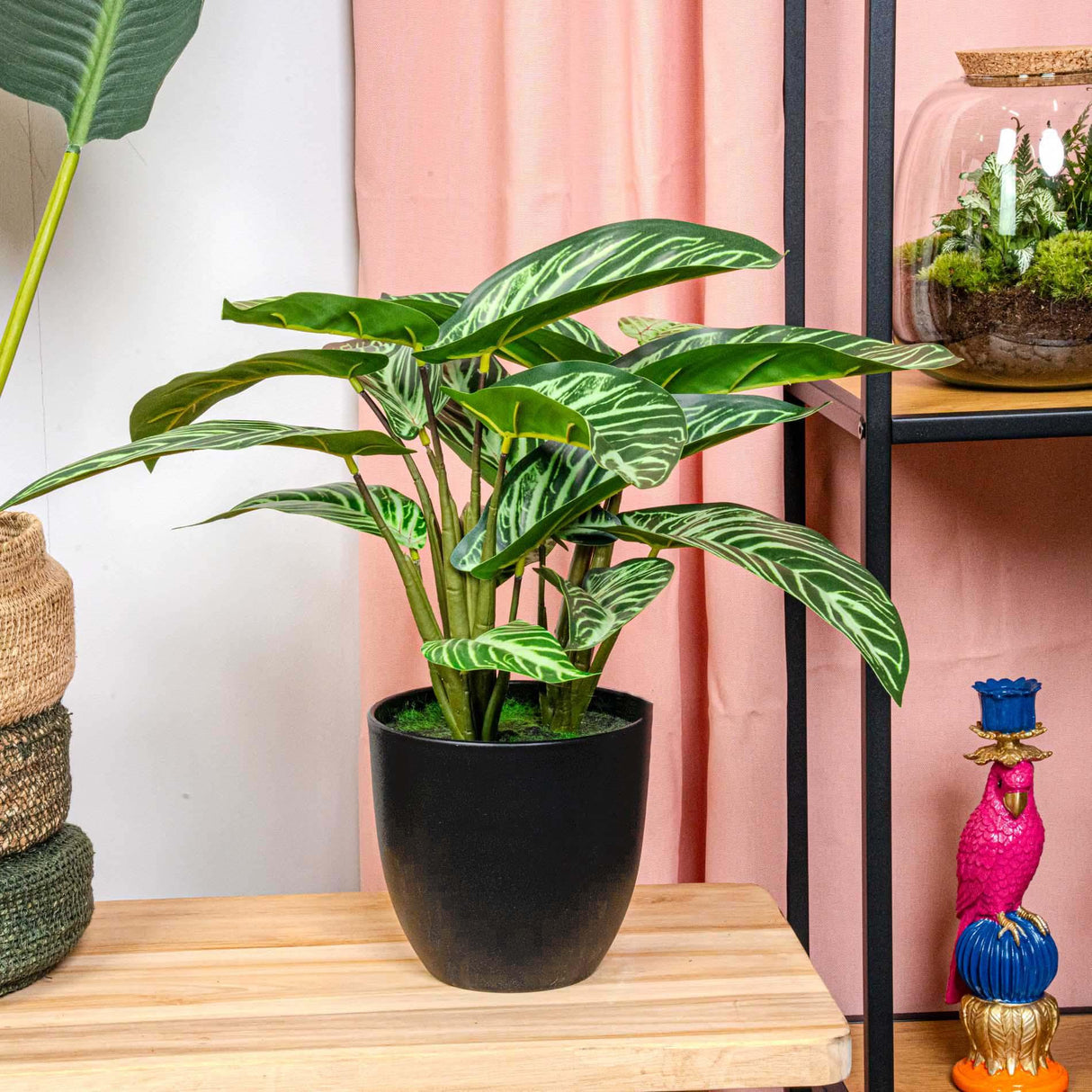 Calathea artificiel och kruka h40cm