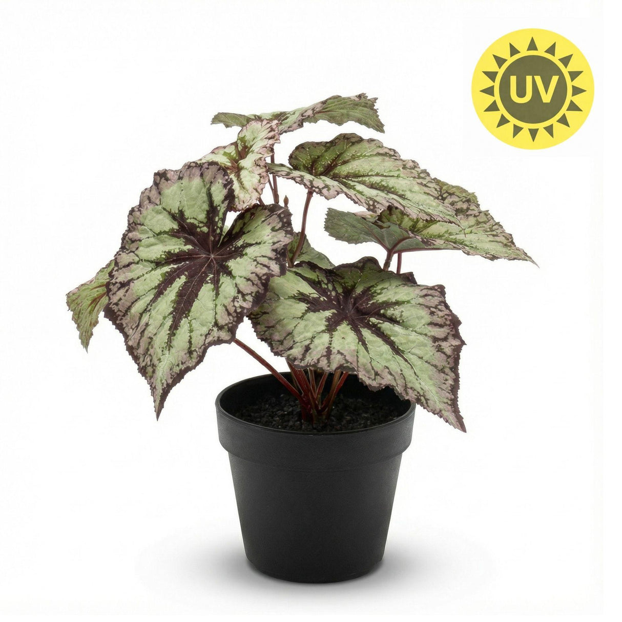 Begonia artificiel h26cm