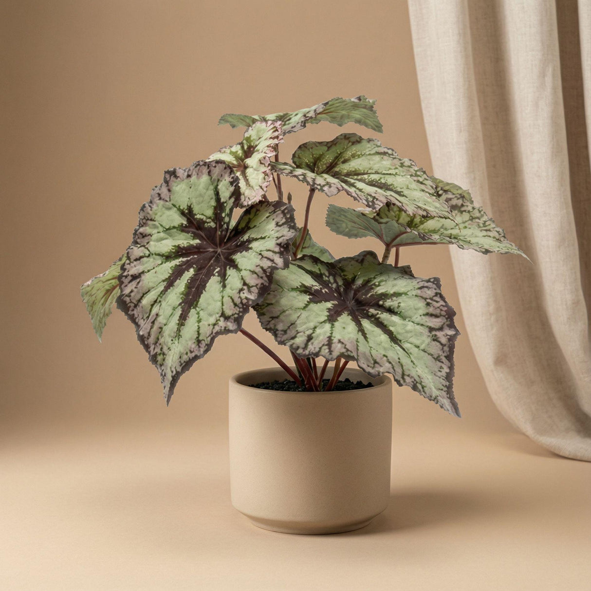 Begonia artificiel h26cm