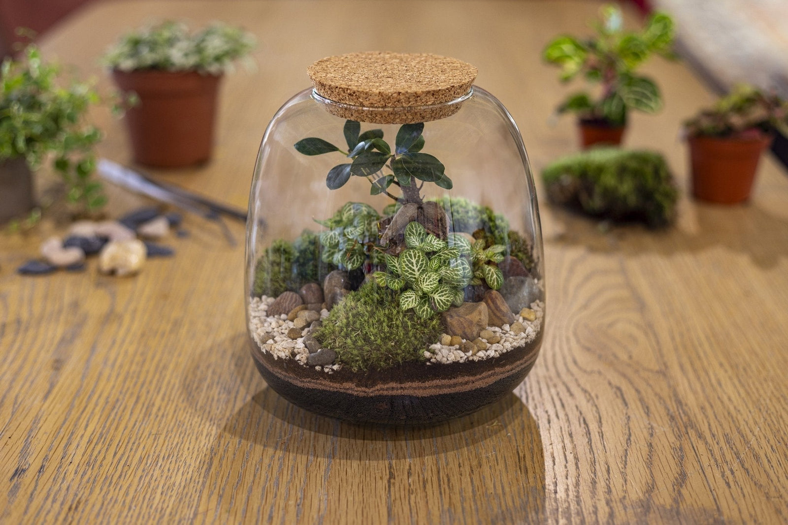 Atelier Terrarium à Bordeaux : créez votre jardin miniature sous verre - La Green Touch