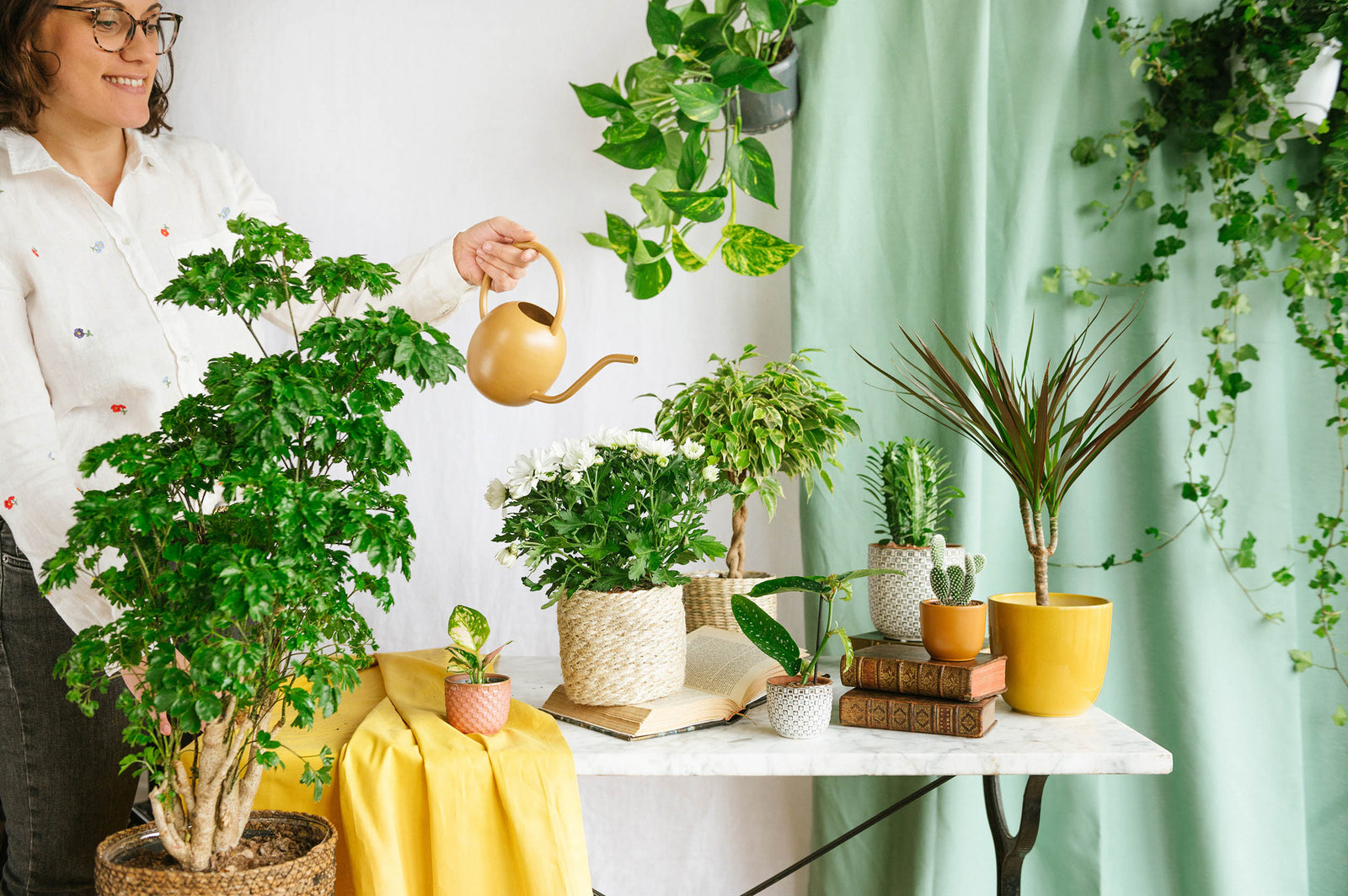 Notre sélection de plantes pour le printemps