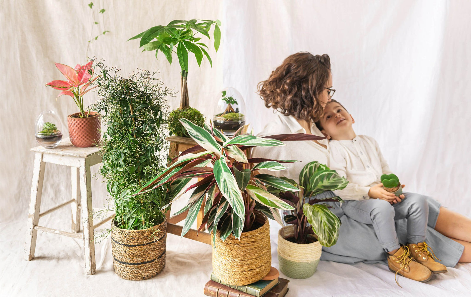Pourquoi offrir une plante d'intérieur pour la fête des mères ? - La Green Touch