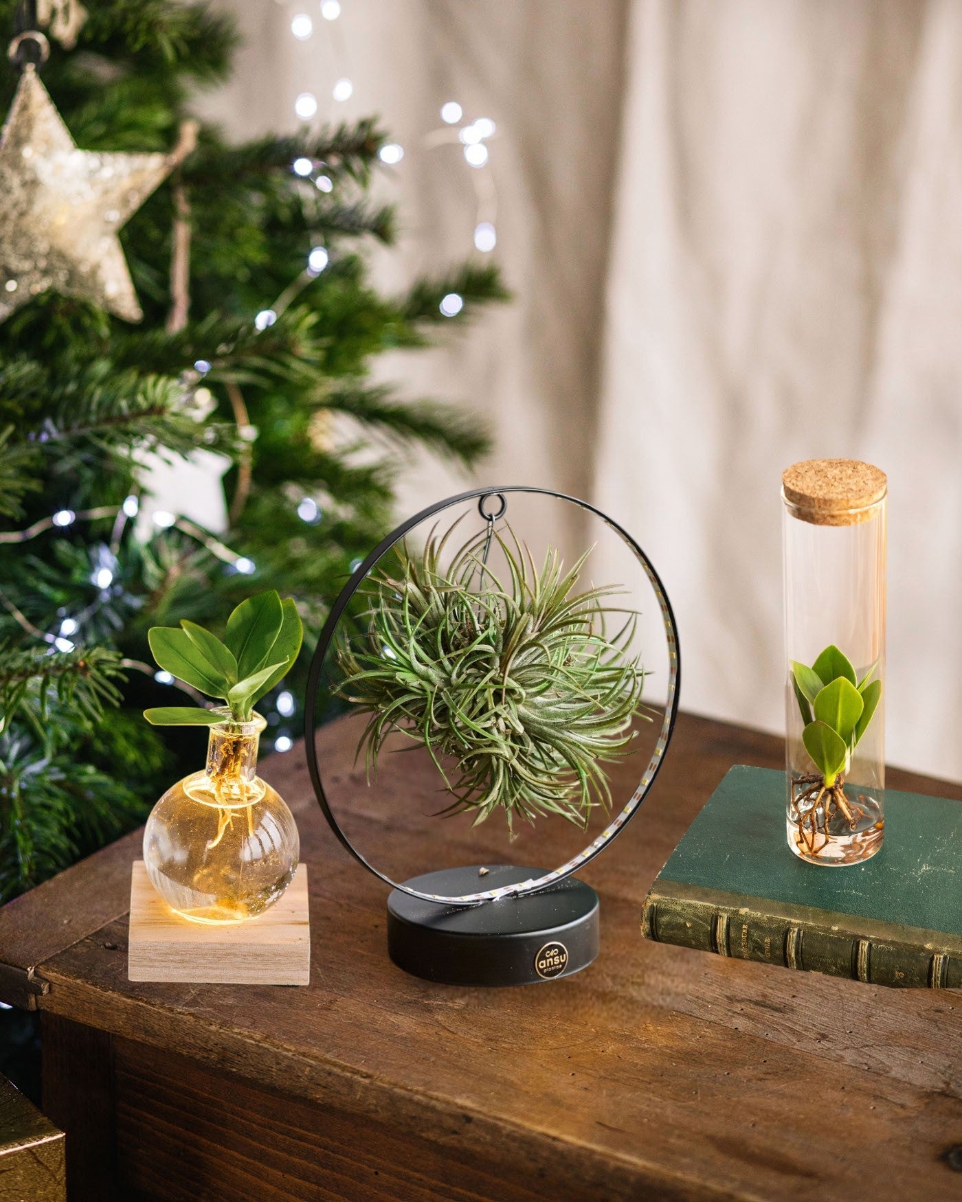 Idées cadeaux de Noël à moins de 50€ - La Green Touch