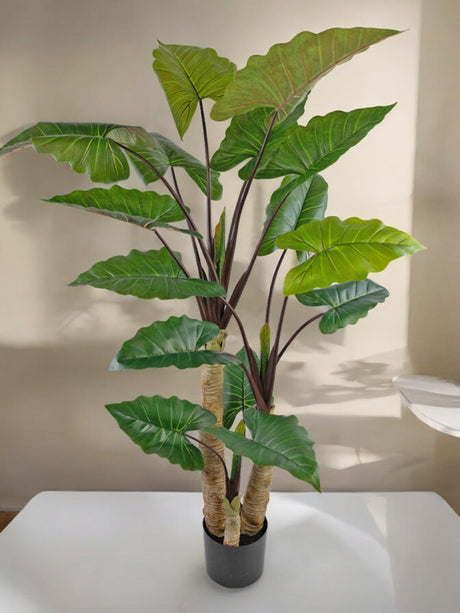 Livraison plante Alocasia - grande plante artificielle