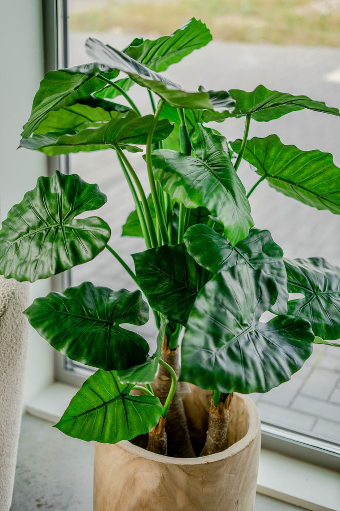 Livraison plante Alocasia - grande plante artificielle