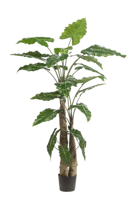 Livraison plante Alocasia plante artificielle - h180cm, Ø15cm