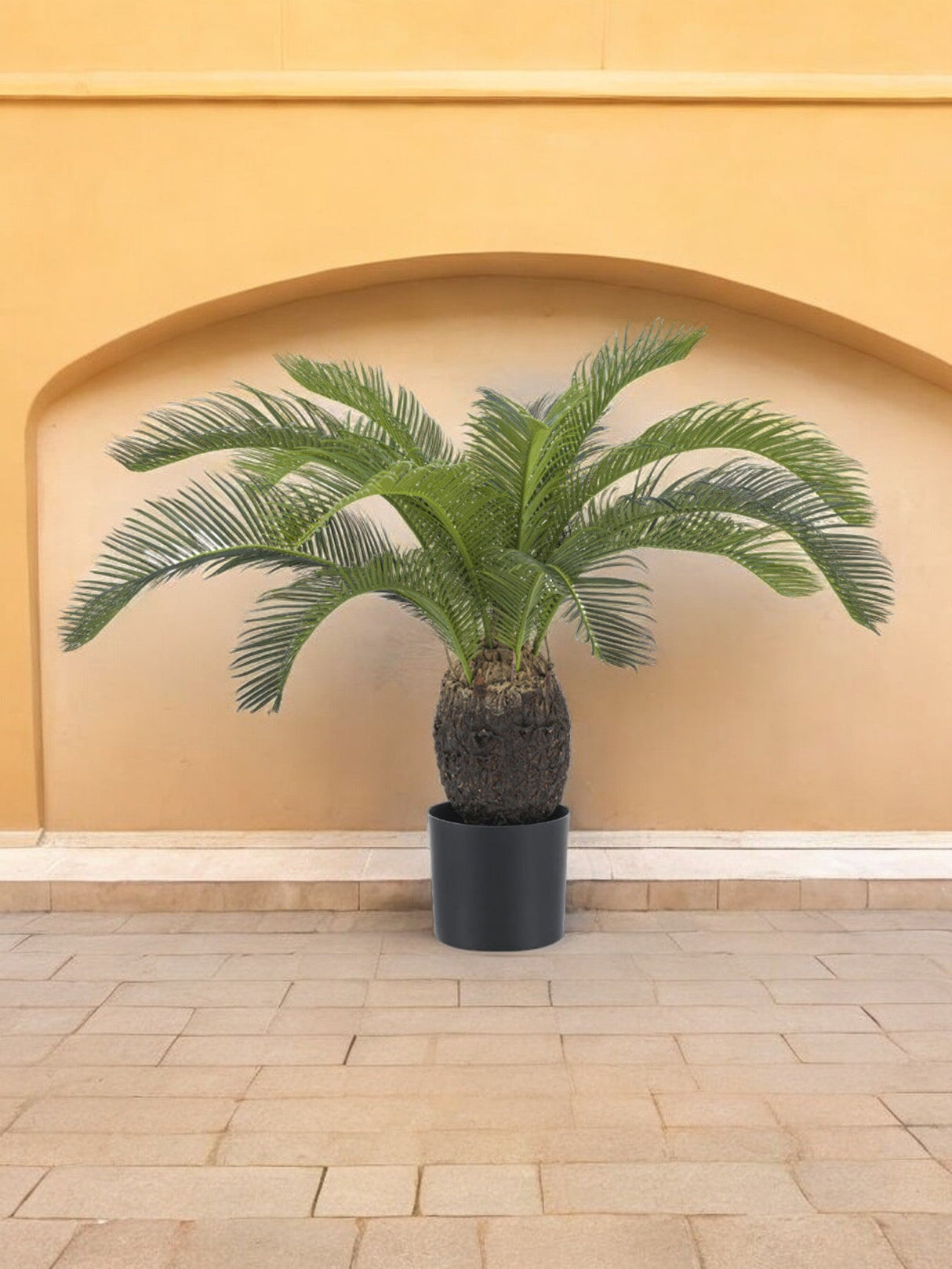 Livraison plante Baby Cycas - Palmier artificiel