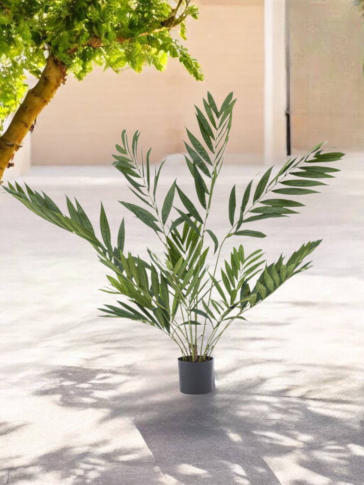 Livraison plante Chamaedorea elegans - Palmier artificiel