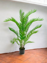 Livraison plante Chamaedorea - Palmier artificiel