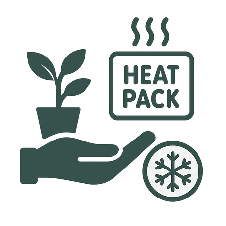 Livraison plante Chaufferette Kolibri