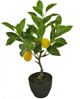 Livraison plante Citronnier Fruitier - Arbre Artificiel