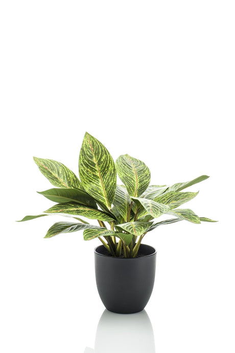 Livraison plante Croton Codiaeum plante artificielle - h38cm, Ø15cm