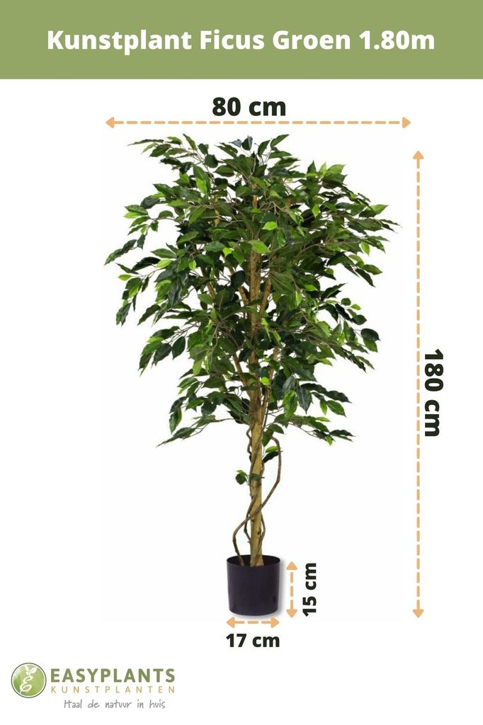 Livraison plante Ficus benjamina - Arbre artificiel