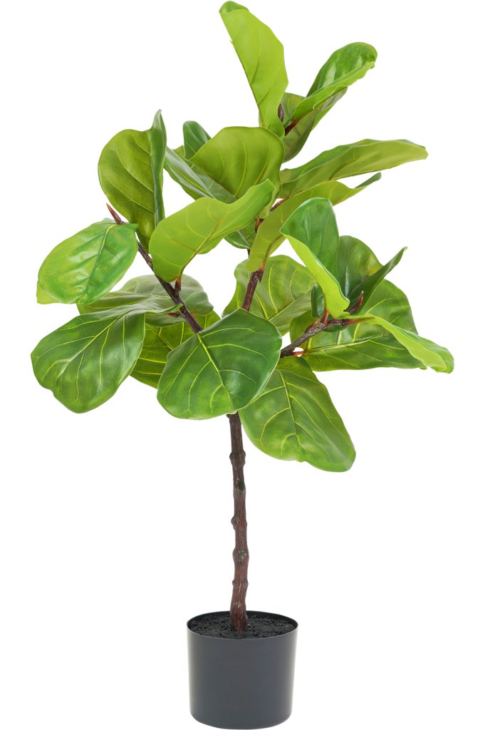 Livraison plante Ficus lyrata - grande plante artificielle