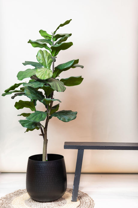 Livraison plante Ficus Lyrata plante artificielle h125cm, Ø14cm