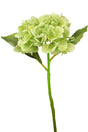 Livraison plante Hortensia Artificiel Deluxe Vert