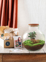 Livraison plante Kit Terrarium DIY - BAOBAB