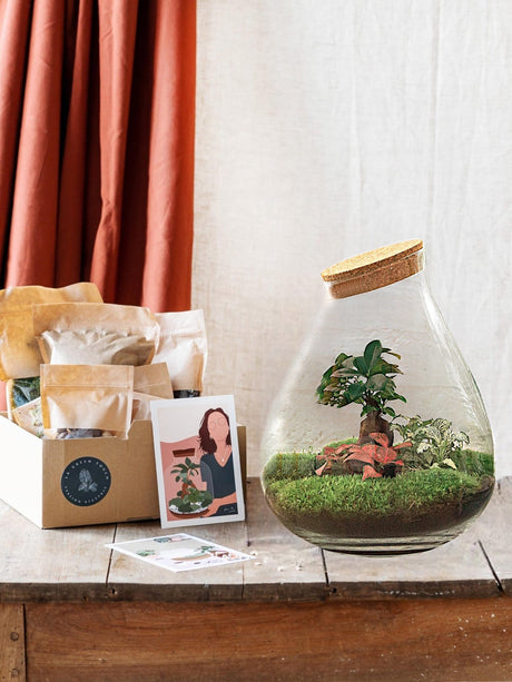 Livraison plante Kit Terrarium DIY - DOORN