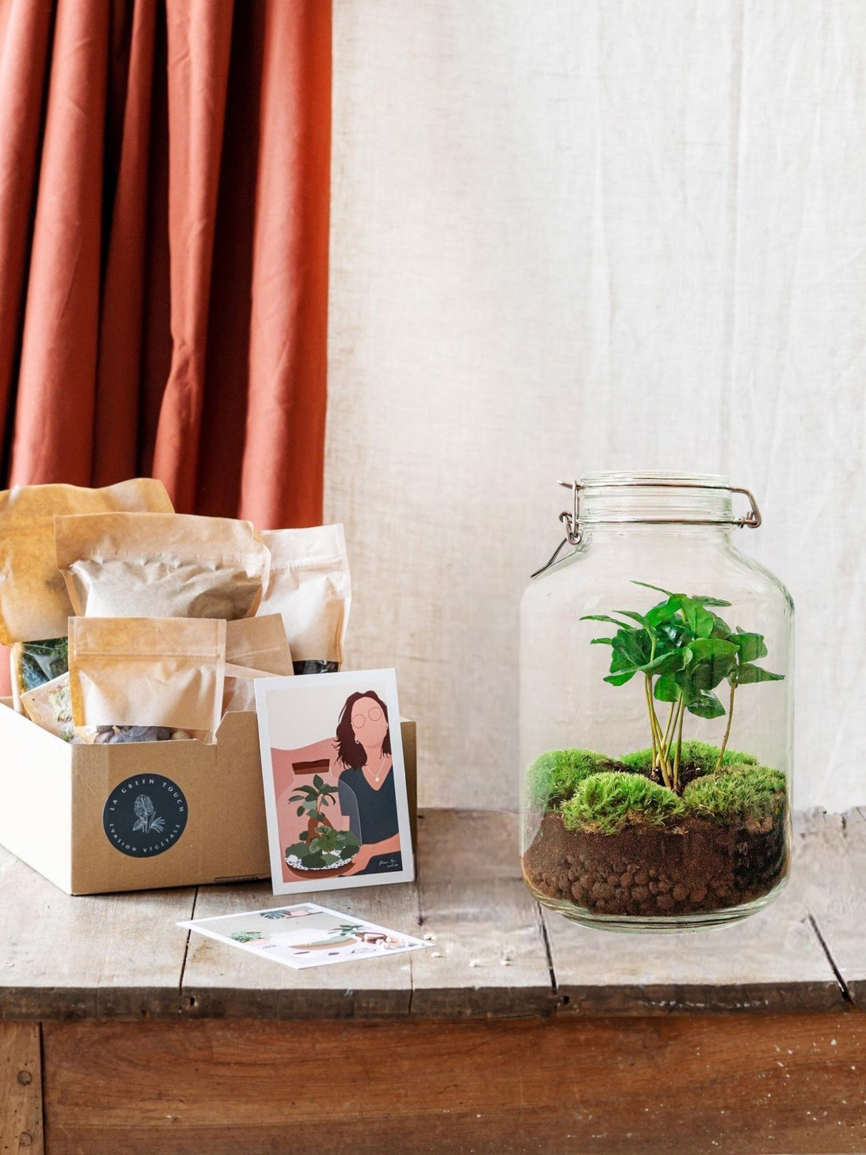 Livraison plante Kit terrarium DIY - OSLO