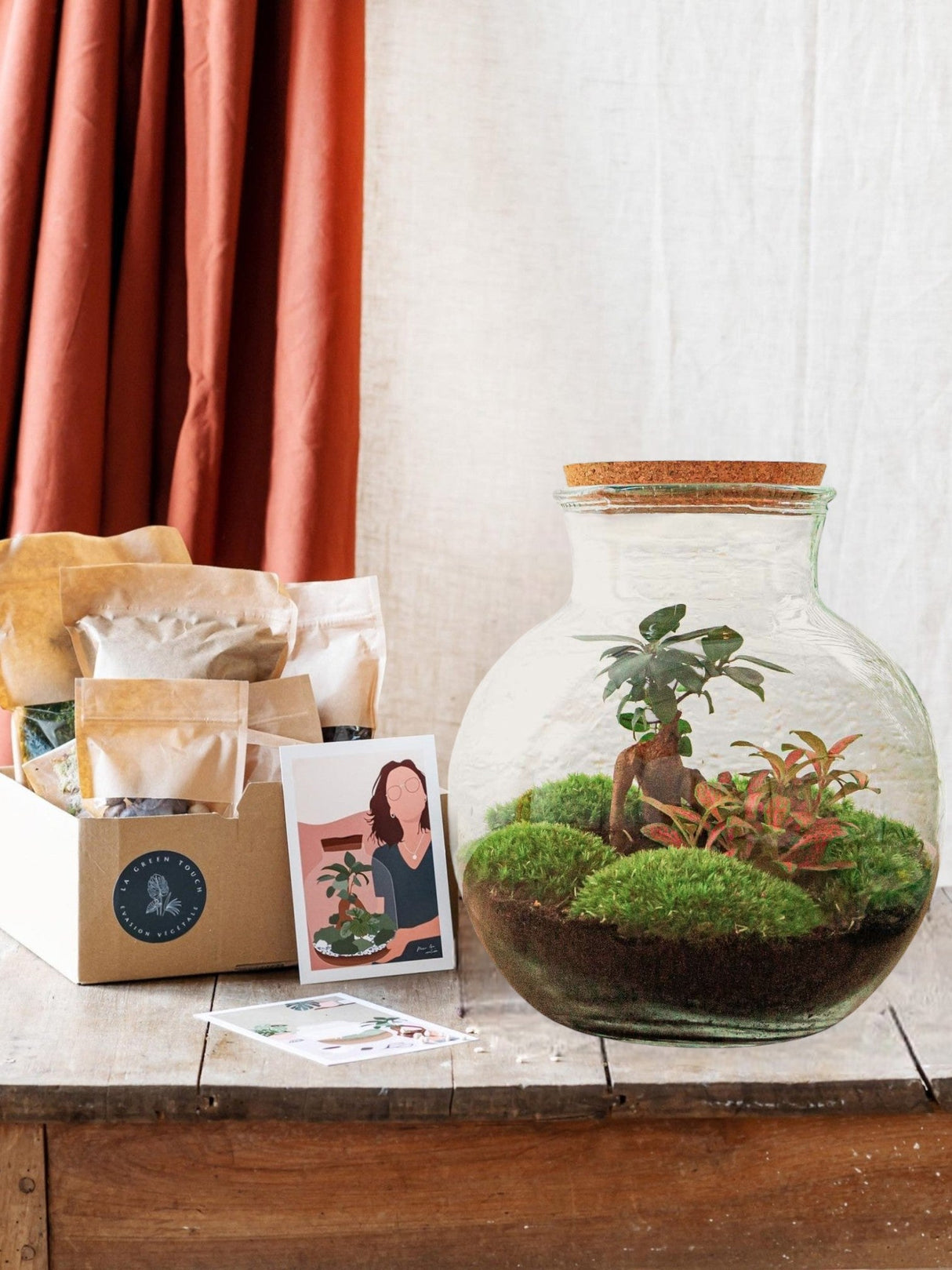 Livraison plante Kit Terrarium DIY - TEDDY