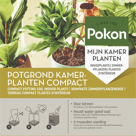 Livraison plante Kokos Potgrond Kamerplanten compact 10L