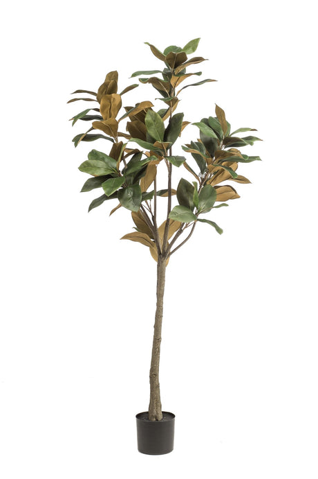 Livraison plante Magnolia Grandiflora plante artificielle - h150cm, Ø15cm