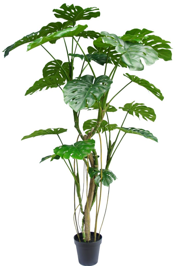 Livraison plante Monstera - grande plante artificielle