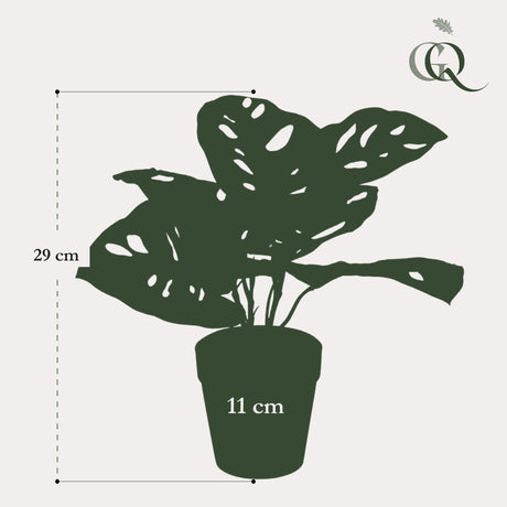 Livraison plante Monstera Monkey plante artificielle - h29cm, Ø18cm