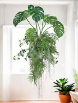 Livraison plante Monstera/fougère - plante artificielle tombante