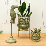 Livraison plante Owl Bloempot Vert - Pot Décoratif Keramique