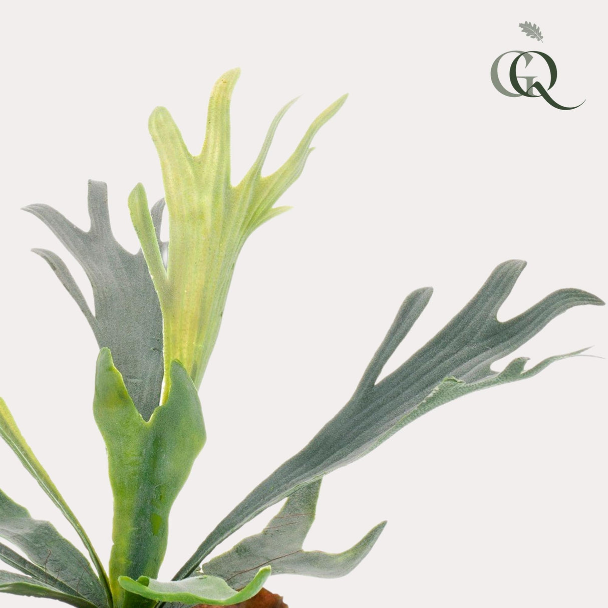 Livraison plante Platycerium plante artificielle - h33cm, Ø15cm