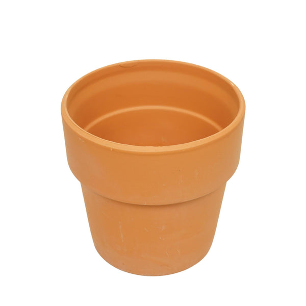 Livraison plante Pot en terre cuite - 12 cm