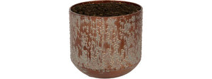 Black Lian kruka 15 cm