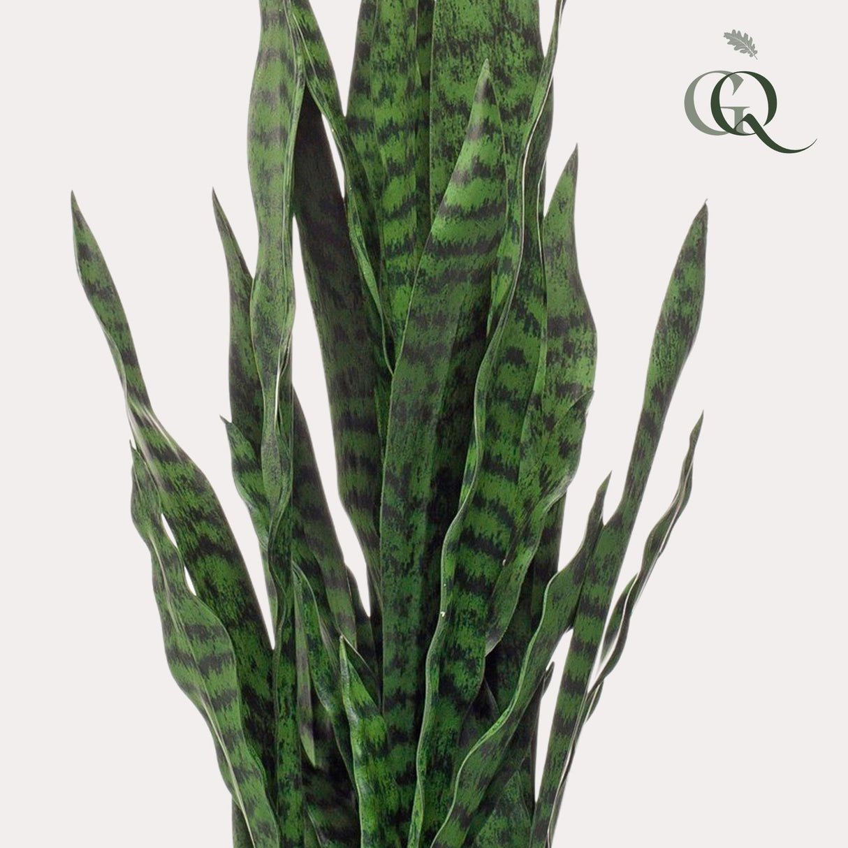 Livraison plante Sanseveria Black Coral plante artificielle - h97cm, Ø12cm