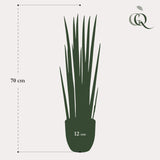 Livraison plante Sansevieria Cylindrica plante artificielle - h70cm, Ø12cm