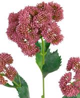 Livraison plante Sedum rouge artificiel