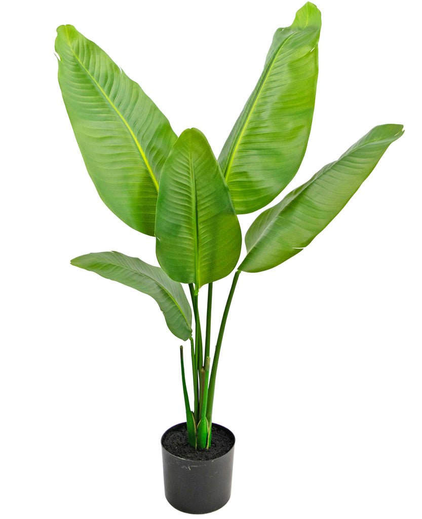 Livraison plante Strelitzia - grande plante artificielle