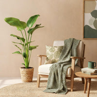 Strelitzia nicolai med korg