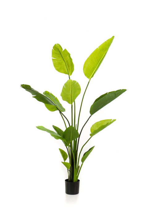 Livraison plante Strelitzia Nicolai plante artificielle - h150cm, Ø12cm