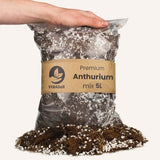 Livraison plante Terreau Anthurium - 5L