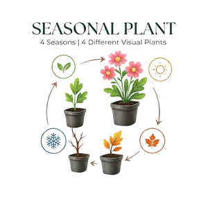 Livraison plante Thym coccineus