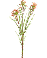 Livraison plante Waxflower rose - Branche fleurie artificielle