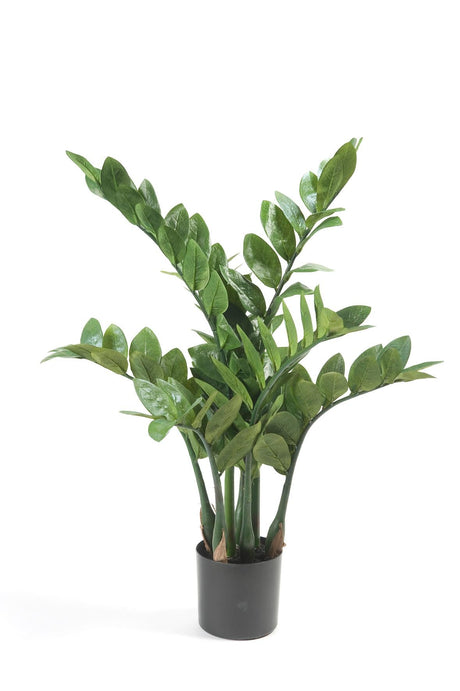 Livraison plante Zamioculcas plante artificielle - h70cm, Ø12cm