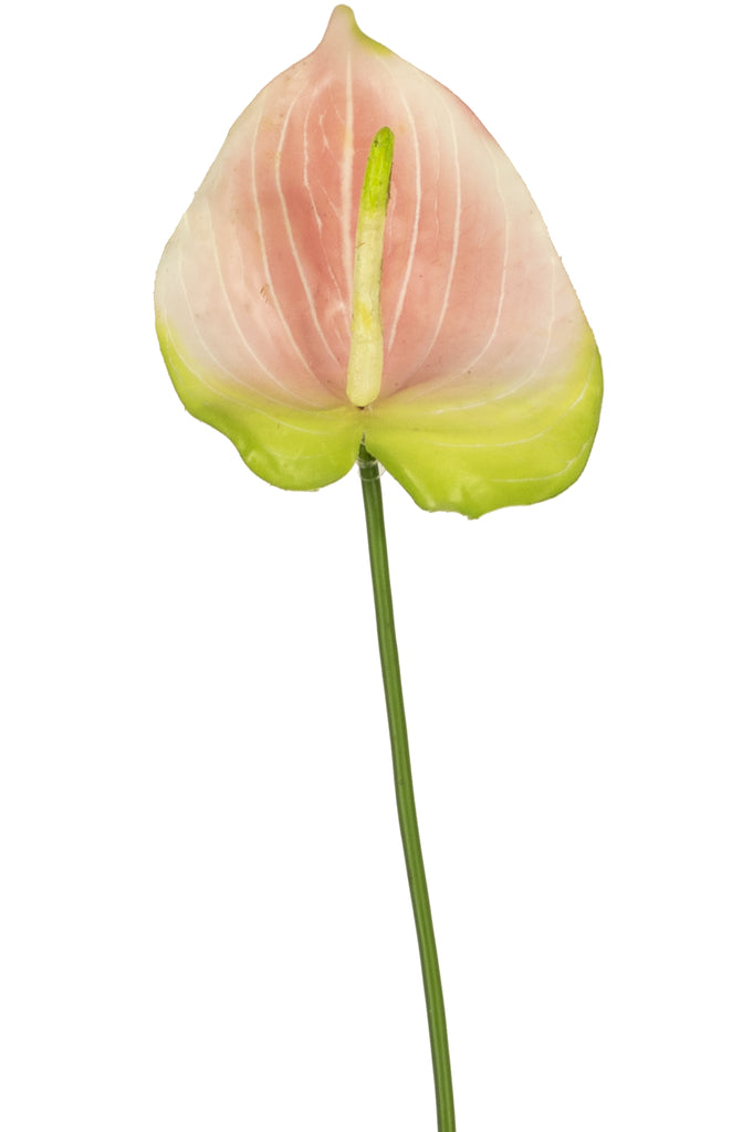 Konstgjord rosa anthurium